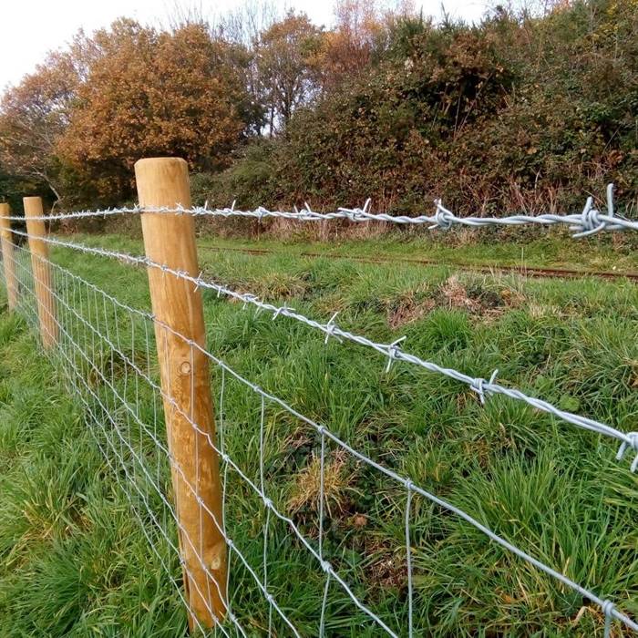 Two line of barbed wires are installed at the top of field fence.