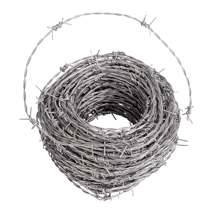 A roll of double twisted barbed wire on white background.
