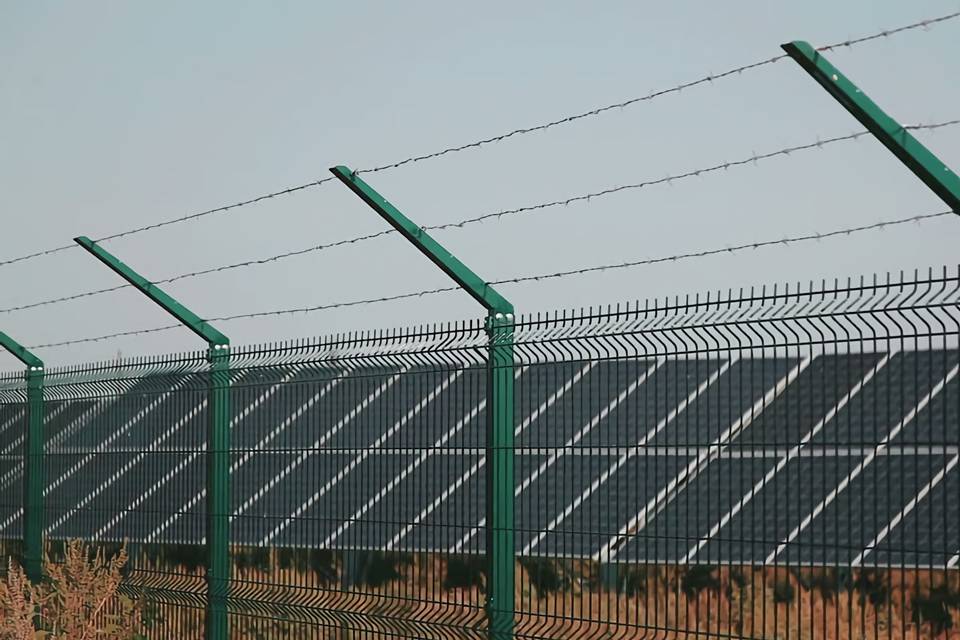 Solar panels are arranged in a straight line and are enclosed by curvy welded fence.