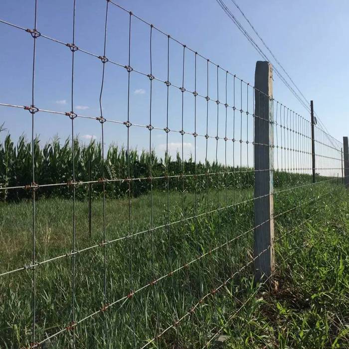 A line of fixed knot deer fence in the farm.